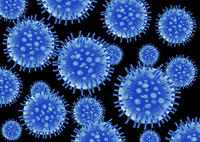 Zweite Verordnung zur Änderung der Coronavirus-Einreiseverordnung