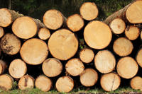 Zertifizierungssystem  Holz von hier 