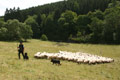 Impressionen aus Sachsen-Anhalt