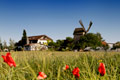 Impressionen aus Sachsen-Anhalt