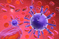 Neufassung der Vorgaben der Kassenärztlichen Bundesvereinigung zur Coronavirus-Testverordnung 