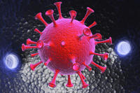 virus, Bacteria 3d illustration 		