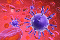 Virus
