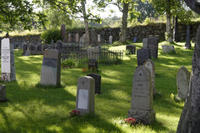 friedhof