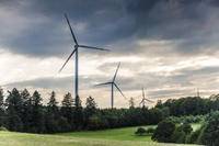 Konfliktfall zwischen Baumschutz und PV-Anlage