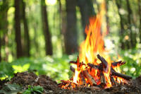 Waldbrandgefahr