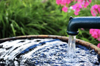 Wasser