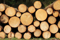 Entwurf eines Konzeptes der Holzbauinitiative