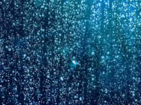 Ausrichtung von Gebäuden auf Extremwetterlagen