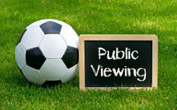 Verordnung über den Lärmschutz bei öffentlichen Fernsehdarbietungen im Freien über die Fußball-Europameisterschaft 2016