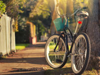 fahrrad