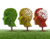 Demenz Alzheimer Vergesslich Erinnerung