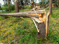 Unwetter6